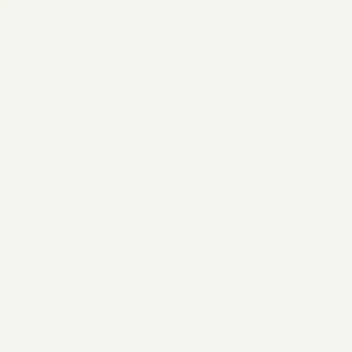 7262.webp