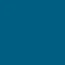 7519.webp