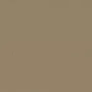 7119.webp
