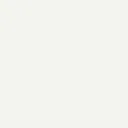 7262.webp