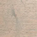 EIKEN3512-2.webp