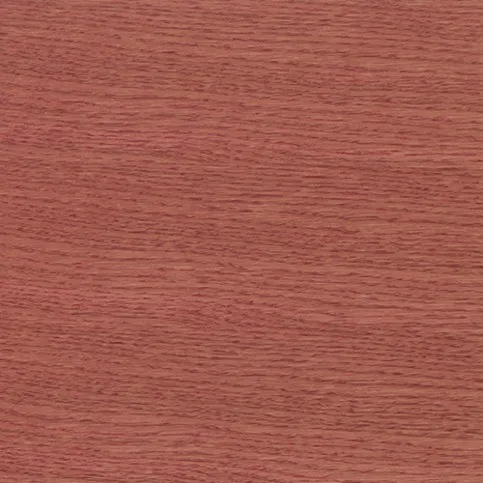 3538.webp