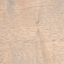 EIKEN3119.webp